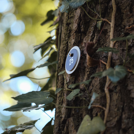Baum mit Wertmarke